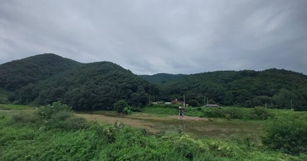 충청남도 청양군 청남면 내직리 OOOOOO 임야 경매 물건 이미지