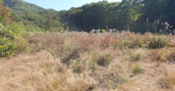 경상남도 거창군 북상면 월성리 OOOOO O OOO 전 경매 물건 이미지