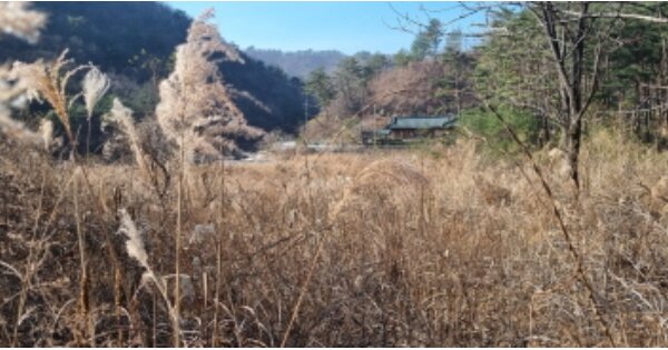 강원도 양양군 현북면 어성전리 OOO 전 경매 물건 이미지