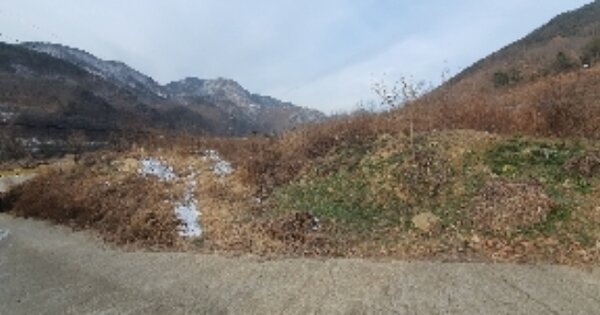 충청북도 옥천군 청성면 합금리 OOO 전 경매 물건 이미지
