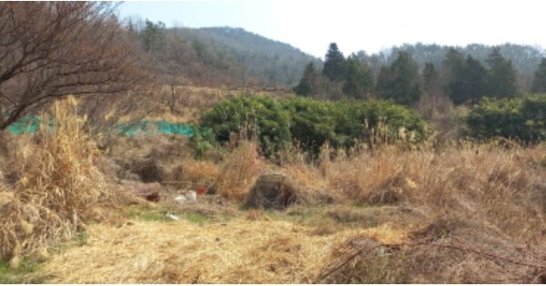 경상남도 거제시 장목면 농소리 OOO 답 경매 물건 이미지