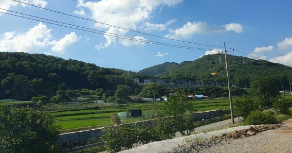 충청남도 천안시 동남구 목천읍 송전리 OOOOO 임야 경매 물건 이미지