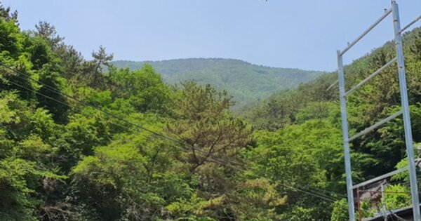 경상남도 창원시 마산합포구 교방동 OOO O OOO 임야 경매 물건 이미지