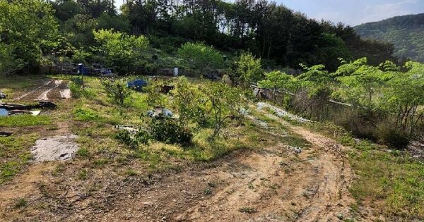 경상남도 통영시 도산면 관덕리 OOOOO 답 경매 물건 이미지