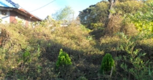 전라북도 부안군 부안읍 내요리 OOO O OOO 대지 경매 물건 이미지
