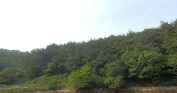 경상남도 남해군 이동면 석평리 OOO 답 경매 물건 이미지