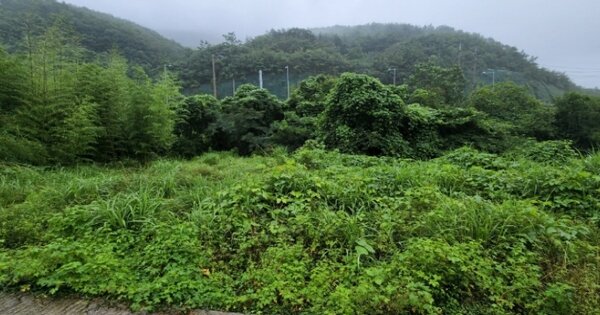 경상남도 창원시 마산합포구 진북면 부산리 OO O OOO 답 경매 물건 이미지