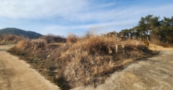 전라북도 고창군 해리면 송산리 OOOO 전 경매 물건 이미지