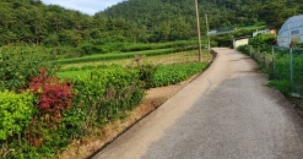 전라남도 순천시 별량면 대곡리 OOOO O OOO 전 경매 물건 이미지