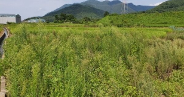 경상남도 창원시 마산합포구 진북면 부평리 OOOOO 답 경매 물건 이미지