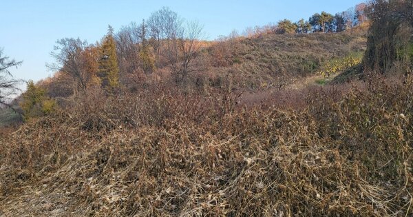 충청북도 충주시 노은면 법동리 OOOO 전 경매 물건 이미지