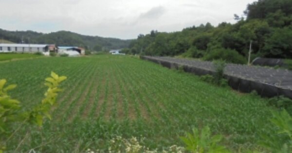 충청북도 보은군 수한면 거현리 OOOOO 답 경매 물건 이미지