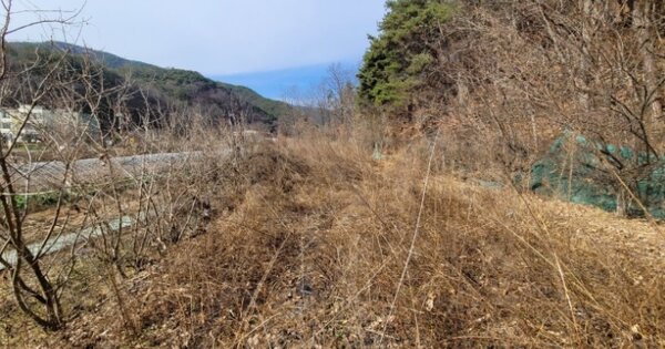경북 고령군 대가야읍 지산리 OOO 전 경매 물건 이미지