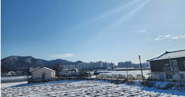 충청남도 예산군 예산읍 발연리 OOO 답 경매 물건 이미지