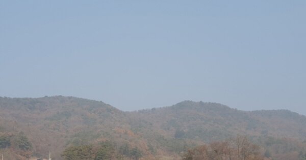 경기도 여주시 북내면 서원리 OOO 임야 경매 물건 이미지