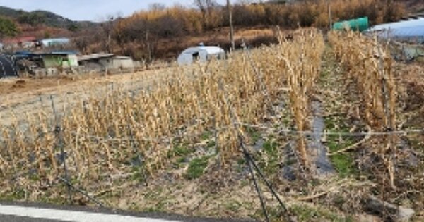 충청남도 보령시 미산면 봉성리 OOOOO O OOO 답 경매 물건 이미지