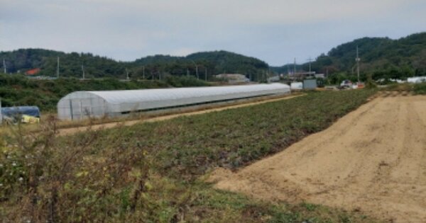 경상남도 고성군 마암면 두호리 OOOO O OOO 답 경매 물건 이미지
