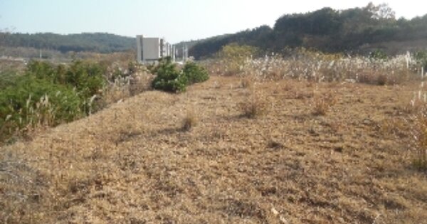 충청남도 당진시 석문면 장고항리 OOOOOO O OOO 임야 경매 물건 이미지