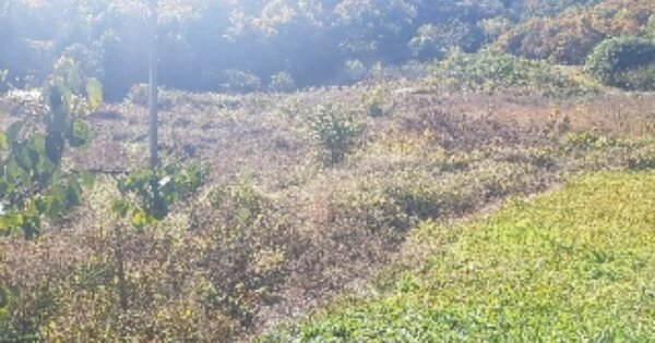 전라남도 순천시 주암면 어왕리 OOO 전 경매 물건 이미지