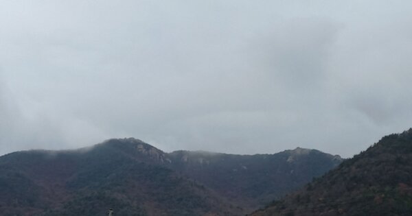경상남도 남해군 삼동면 봉화리 OOOO 임야 경매 물건 이미지