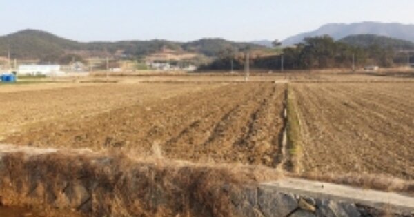 전라남도 고흥군 금산면 신촌리 OOOOOO O OOO 답 경매 물건 이미지