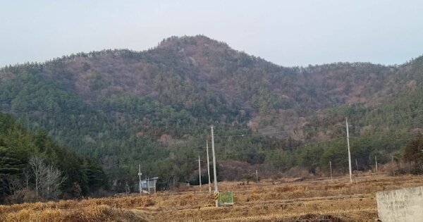 전라남도 장흥군 용산면 인암리 OOO 임야 경매 물건 이미지