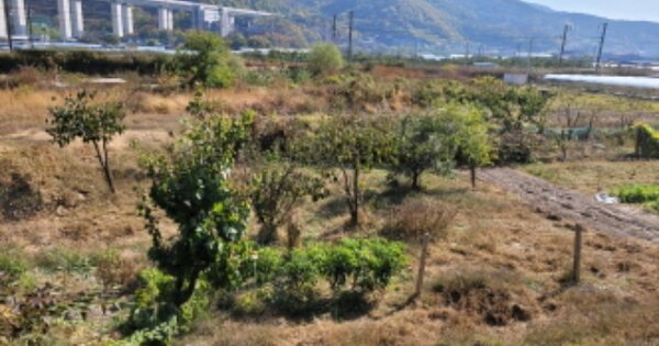 경상북도 경산시 남천면 구일리 OOO 답 경매 물건 이미지