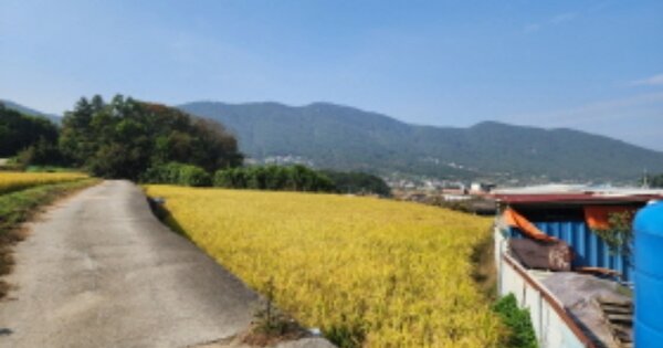 울산광역시 울주군 두동면 만화리 OOO O OOO 답 경매 물건 이미지