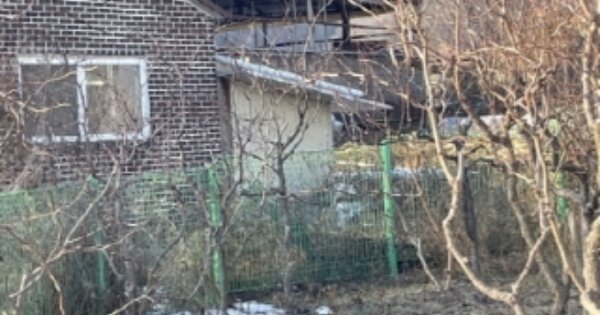 충청북도 보은군 내북면 봉황리 OOOO O OOO 단독주택 경매 물건 이미지