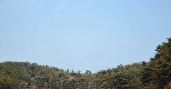 울산광역시 북구 가대동 OOOOOO 임야 경매 물건 이미지