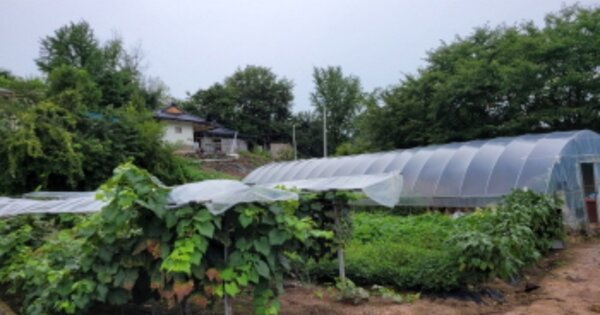 경상북도 영양군 입암면 삼산리 OO 대지 경매 물건 이미지