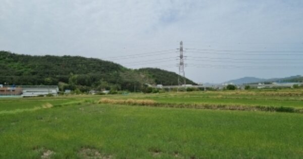 경상북도 경주시 외동읍 모화리 OOOO 답 경매 물건 이미지
