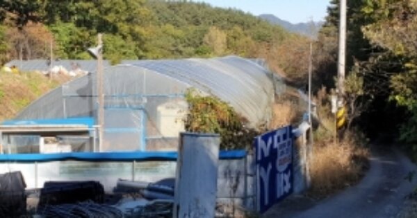 경상남도 거창군 주상면 거기리 OOO 전 경매 물건 이미지