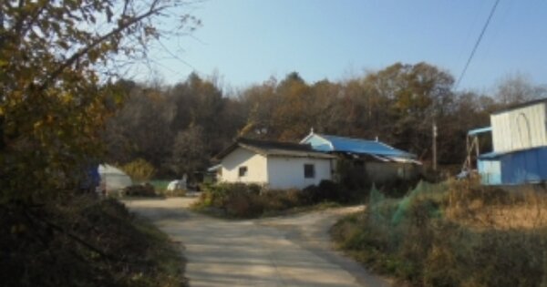 강원도 고성군 간성읍 상리 OOOOO 대지 경매 물건 이미지