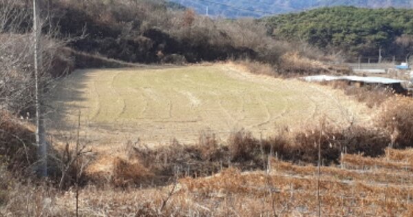 경상남도 함양군 유림면 서주리 OOOOO 답 경매 물건 이미지