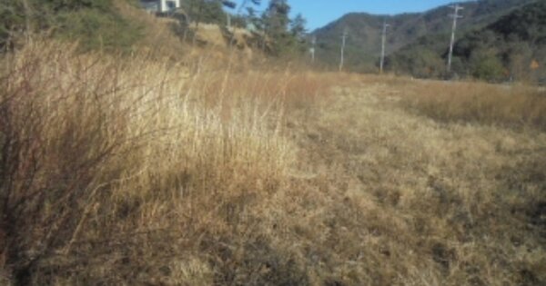 강원도 양양군 서면 공수전리 OOOO O OOO 답 경매 물건 이미지
