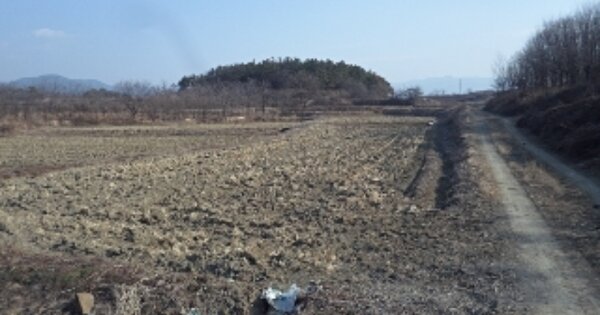 경상남도 창녕군 대합면 대동리 OOOOO 전 경매 물건 이미지