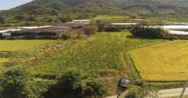 경상북도 김천시 남면 운남리 OOOOO O OOO 임야 경매 물건 이미지