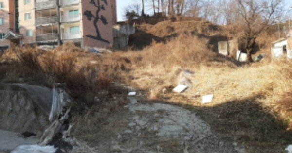 인천광역시 강화군 강화읍 국화리 OOOOO O OOO 임야 경매 물건 이미지