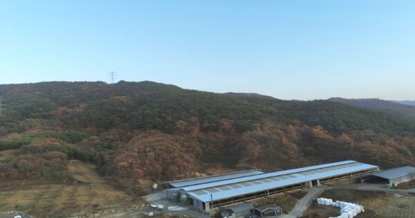경상북도 김천시 지례면 울곡리 OOOOO 임야 경매 물건 이미지