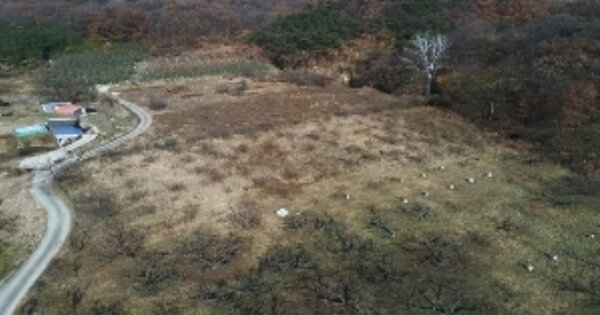 경상북도 김천시 남면 봉천리 OOOO O OOO 전 경매 물건 이미지