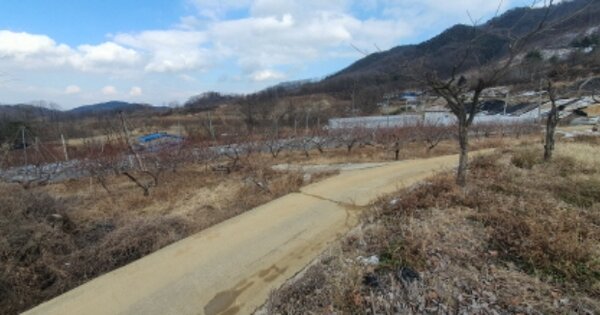 경상북도 김천시 남면 운남리 OOO 답 경매 물건 이미지