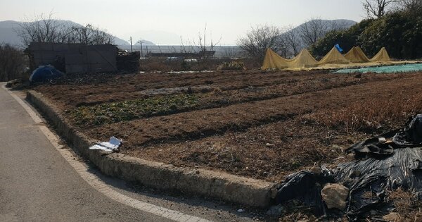 인천광역시 옹진군 덕적면 서포리 OOOOO 답 경매 물건 이미지