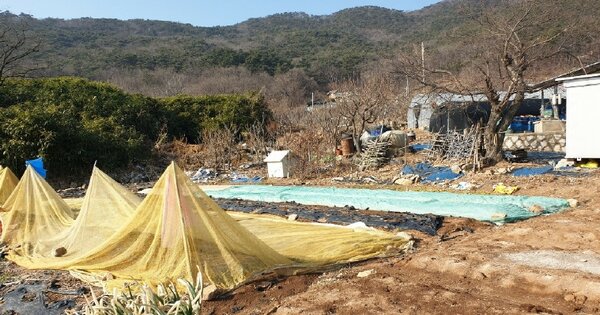 인천광역시 옹진군 덕적면 서포리 OOOOO 대지 경매 물건 이미지