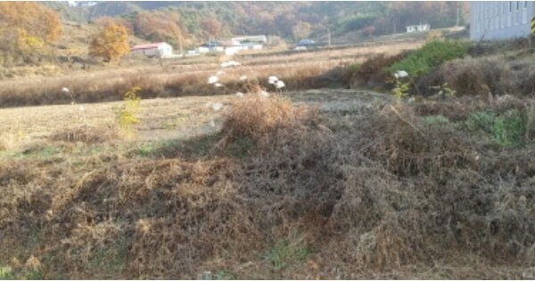 충청남도 서천군 한산면 동산리 OOOOO 답 경매 물건 이미지
