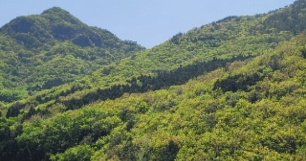 경상남도 거제시 둔덕면 상둔리 OOOO 임야 경매 물건 이미지