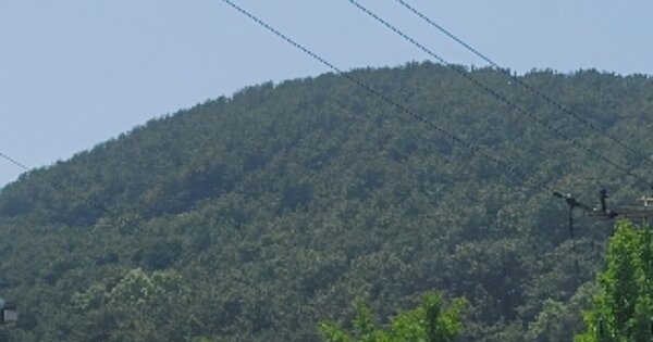 경상남도 통영시 명정동 OOOOO 임야 경매 물건 이미지