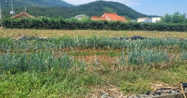 경상남도 통영시 광도면 황리 OOOOOOO 대지 경매 물건 이미지