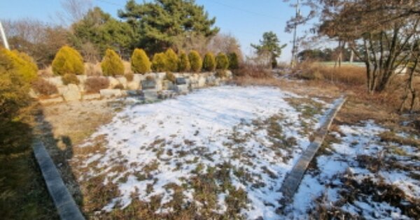 전라북도 익산시 황등면 죽촌리 OOOOOOO 답 경매 물건 이미지