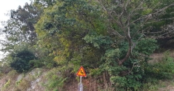 전라북도 순창군 순창읍 백산리 OO 임야 경매 물건 이미지
